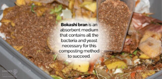 Τι είναι το Bokashi Bran;
