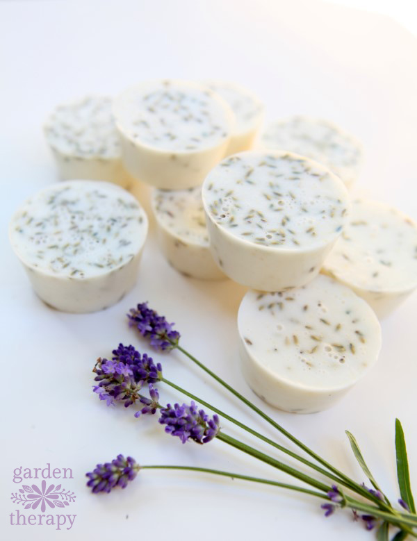 Λεβάντα Cupcakes Soap Oatmeal