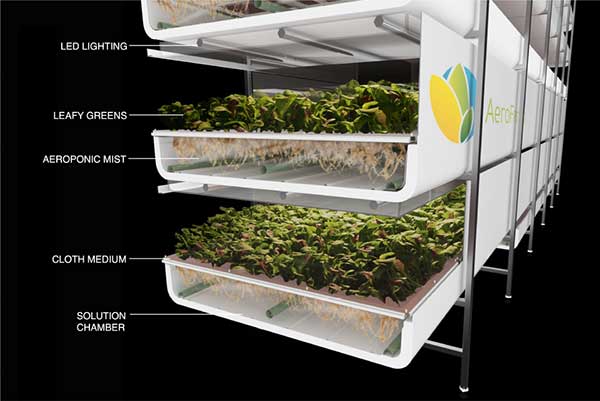 Τεχνολογία AeroFarms