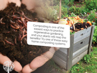 Το Vermicomposting είναι ένας τρόπος για να επανατοποθετήσετε τα απορρίμματα στο σπίτι χρησιμοποιώντας σκουλήκια. 