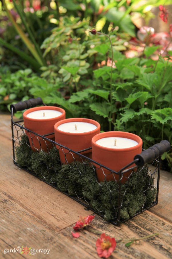 Ow of Citronella κεριά σε γλάστρες Terracotta