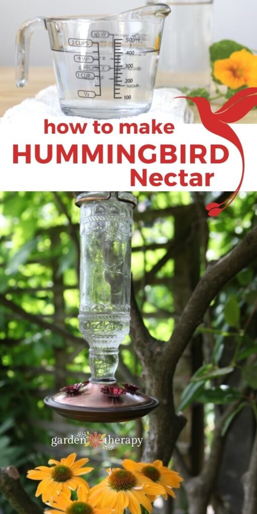 Συνταγή τροφίμων Hummingbird