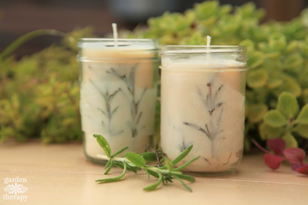 Έργο κεριών δεντρολίβανο Mason Jar