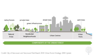 Ιδρύμα Urban Forest του Βανκούβερ