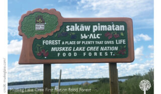 Φρέσκα προϊόντα στη λίμνη Muskeg Cree, Saskatchewan 