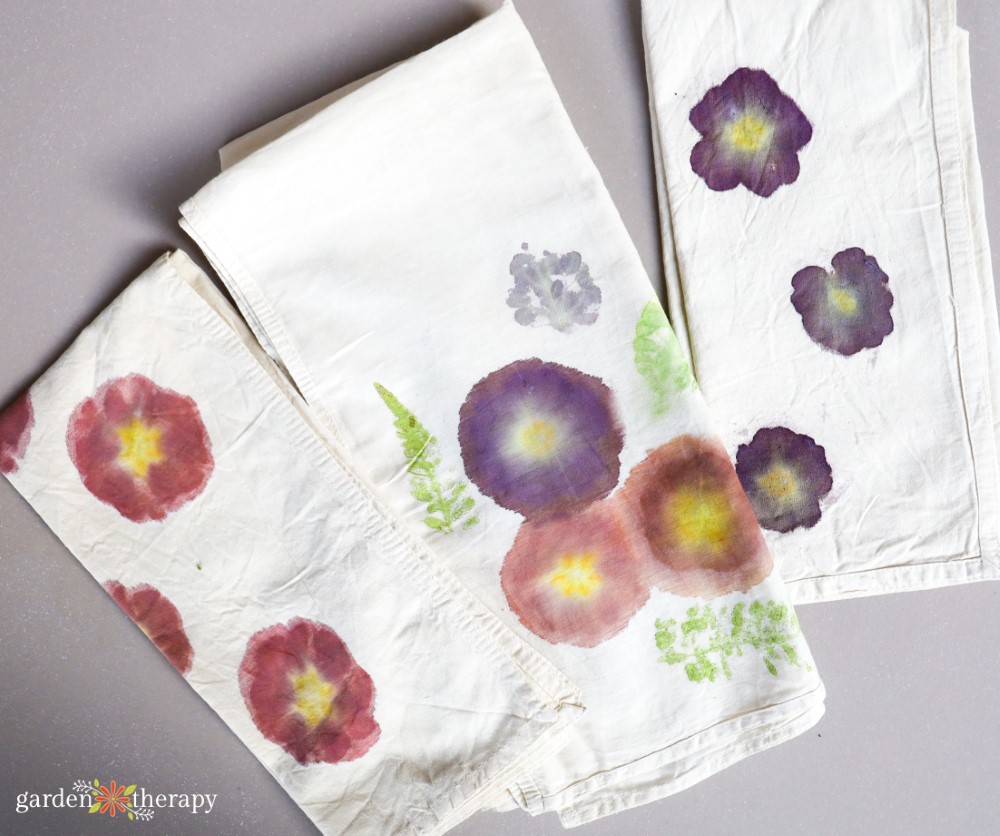 Primula Flower Print από οικολογική εκτύπωση