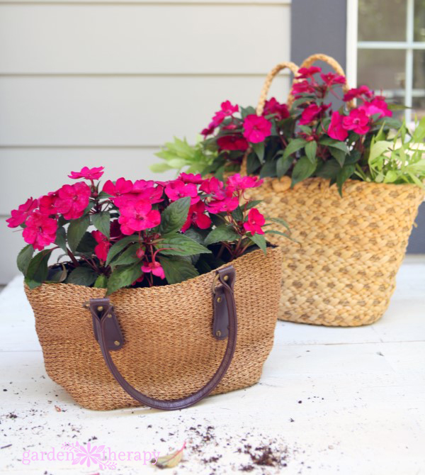 Φύτευση Sunpatiens σε πορτοφόλια