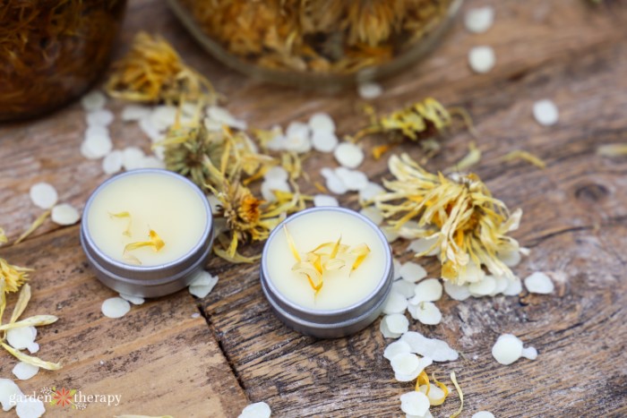 Balm Diy Calendula Lip