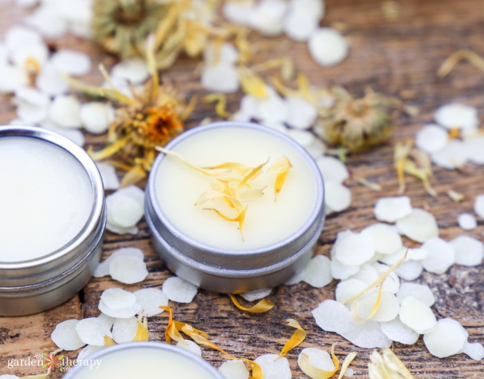 Balm Diy Calendula σε κουτάκια
