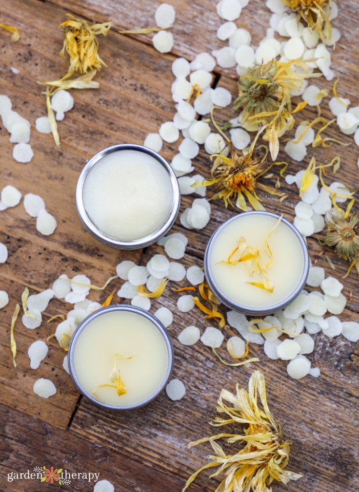 Balm Lip Calendula