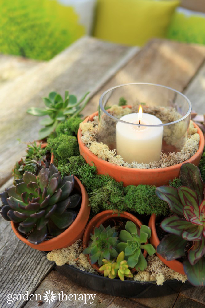 κεντρικό τεμάχιο με succulents και ένα κερί