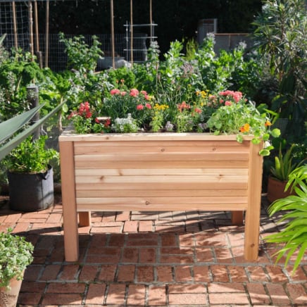 Μικρός Cedar Elevated Planter 25.5